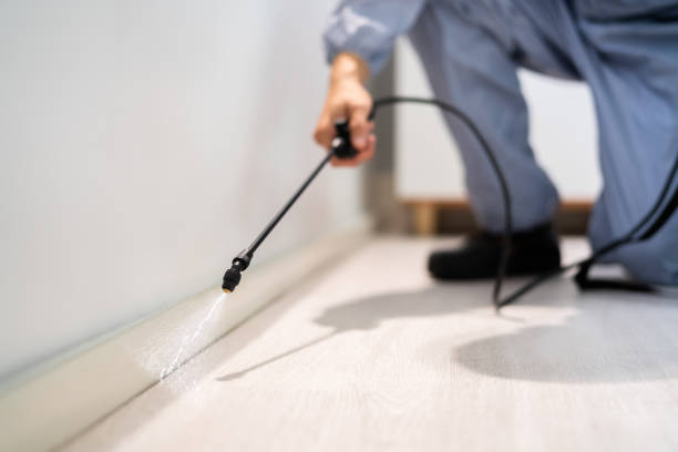 Licensed Pest Control service in Bogata, TX - Show Me Pest Control