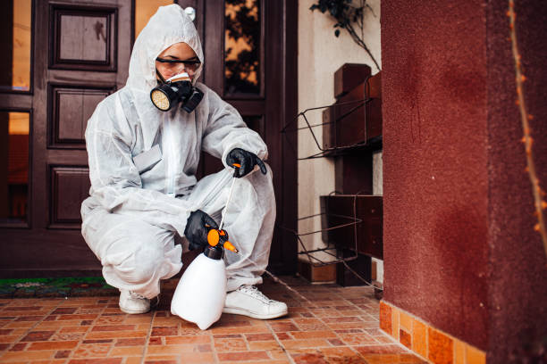 Attic and Crawl Space Rodent Treatment in Bogata