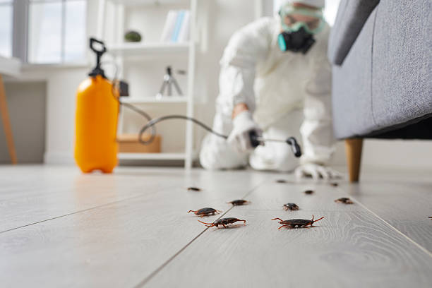 Commercial Rodent Management in Bogata